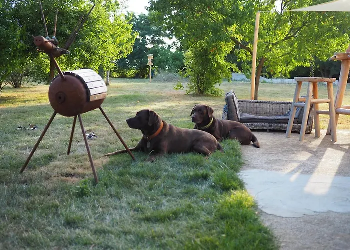 Pays De Joie - Caravan La Boheme *